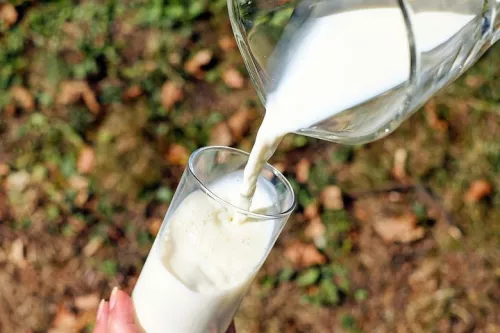 Мощность переработки ООО «Курское молоко» превышает 100 тонн в сутки