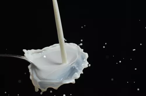 Россельхознадзор: В Курске юрлицо использовало фантомную площадку для реализации молочной продукции